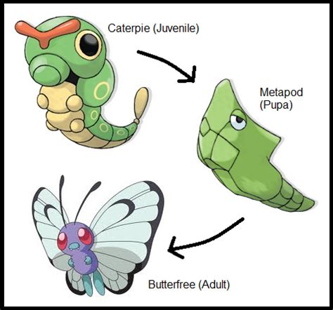 Caterpie evolution | Pokemon