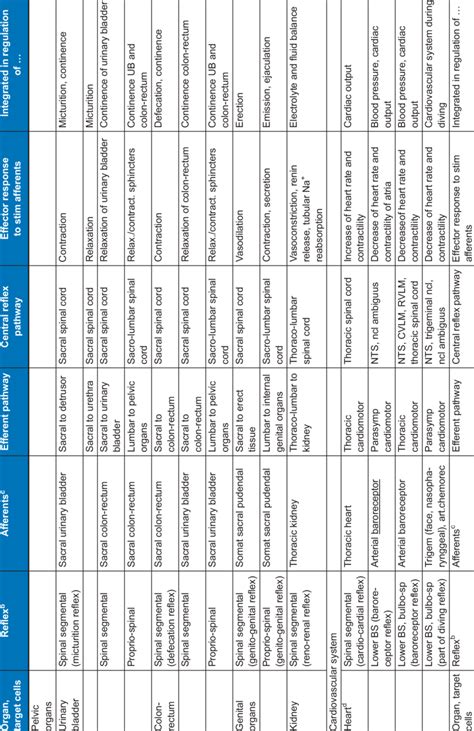 Autonomic reflexes mediated by spinal cord and brain stem a | Download ...