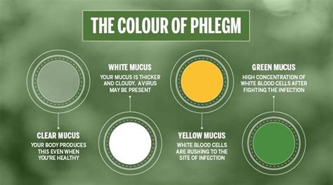 what does the color of phlegm mean phlegm color chart hereqfile - pin ...