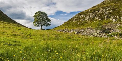 Sycamore Gap • Northumberland National Park