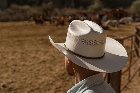 Stetson Western Straw - Western Horseman