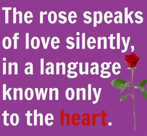 34 AMAZING RED ROSE LOVE QUOTES.... - Godfather Style