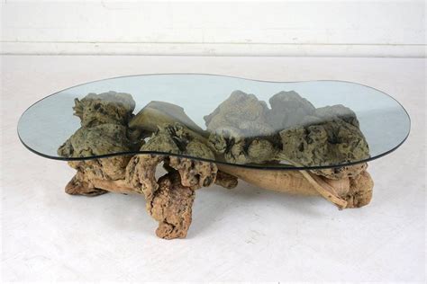 Midcentury Organic Form Tree Root Coffee Table For Sale at 1stdibs