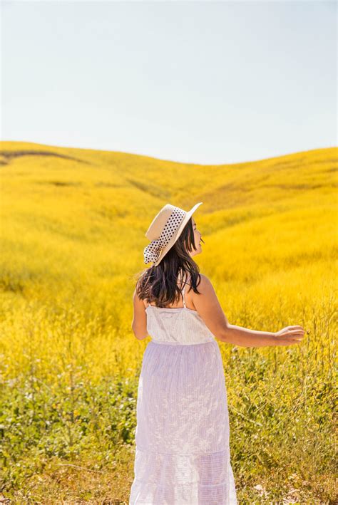 How to See the Chino Hills State Park Wildflowers (Mustard Blooms ...