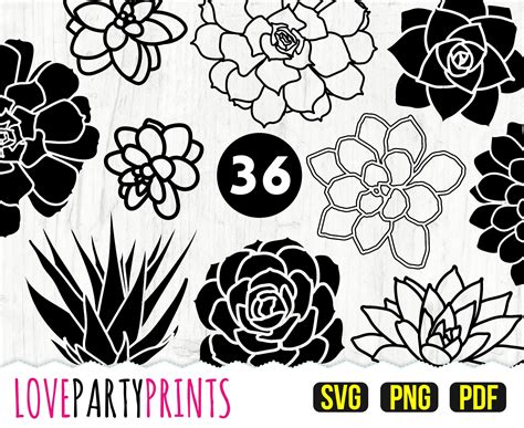 Succulent SVG Bundle PNG PDF 36 succulent clipart paper | Etsy