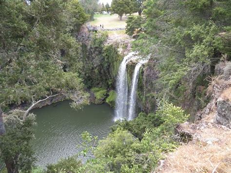 Whangarei Falls - 2020 All You Need to Know BEFORE You Go (with Photos ...