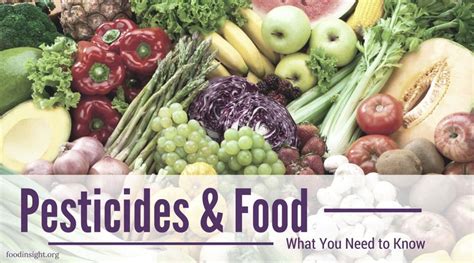 Pesticides & Food: What You Need to Know – Food Insight