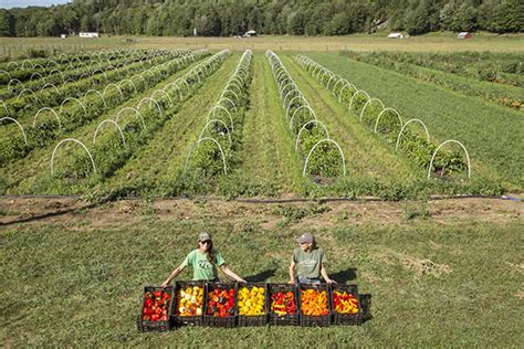 High Mowing Organic Seeds | Power of Seed | Growing a Greener World®