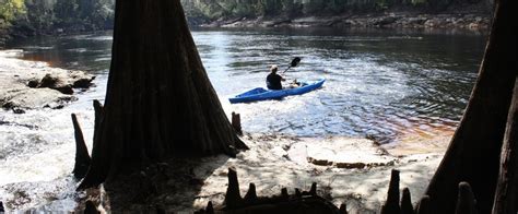 Suwannee River State Park | Florida State Parks