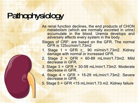 Renal Failure