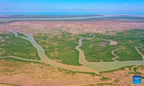 Scenery of Yellow River Delta National Nature Reserve, E China's ...