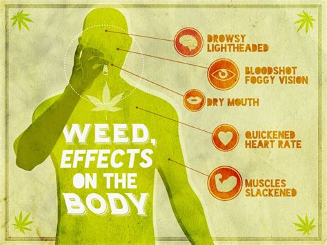 Weed, effects on the body.