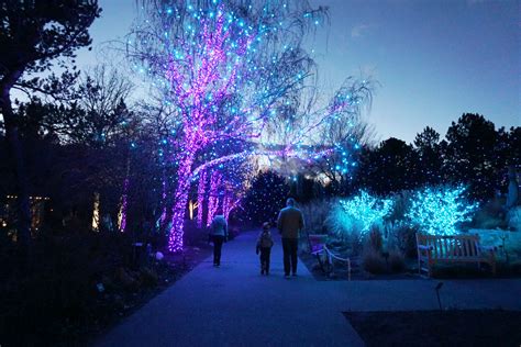 Winter Wonderland Lights Throughout the United States | Insider Families