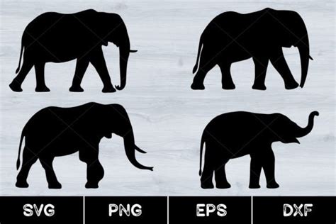 Elephant Silhouette, Svg Graphic by AnuchaSVG · Creative Fabrica