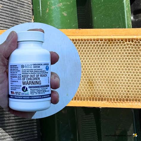 Effective Wax Moth Prevention with B402 Certan- Carolina Honeybees