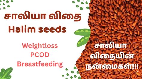 Benefits of Halim seeds ( Garden cress seeds) | சாலியா விதைகளின் நமைகள் ...