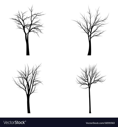 Trees with dead branches Royalty Free Vector Image