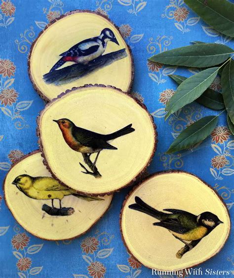 Mod Podge Image Transfer: Backyard Bird Coasters - Running With Sisters