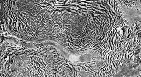 Biomathematics Group | Research groups | Imperial College London