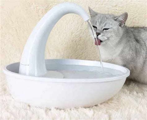 Best Ceramic Cat Water Fountain - Pets Zone | Pet water fountain, Cat ...