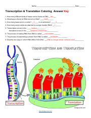 Dna Transcription Coloring Pages