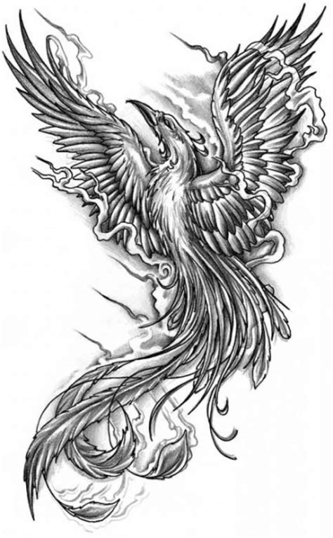 grey ink phoenix tattoo design cool grey ink phoenix tattoo design ...