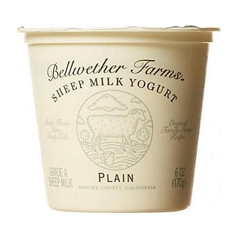 Plain Sheep Milk Yogurt | Yogurt | People's Food Co Op