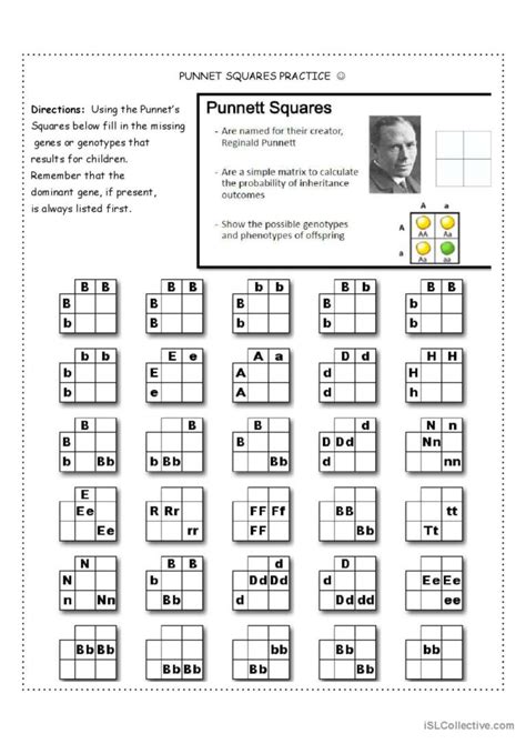 Punnet Squares Practice: English ESL worksheets pdf & doc