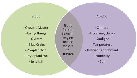 What are some examples of biotic factors in an ecosystem? | Socratic