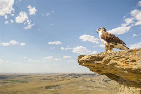 Grasslands National Park | Tourism Saskatchewan