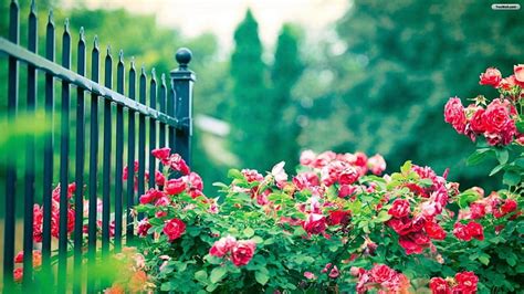 BEAUTIFUL GARDEN, GATE, GARDEN, FLOWERS, BEAUTIFUL, HD wallpaper | Peakpx