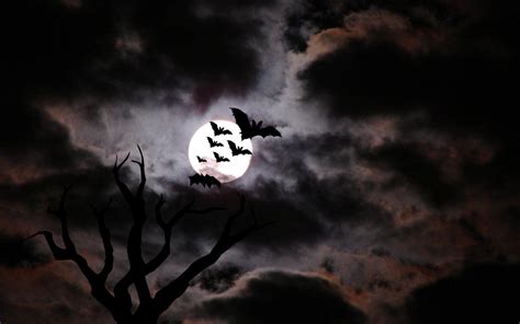 Scary Halloween Wallpapers Free - Wallpaper Cave