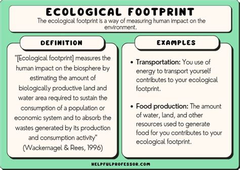 10 Ecological Footprint Examples (2024)