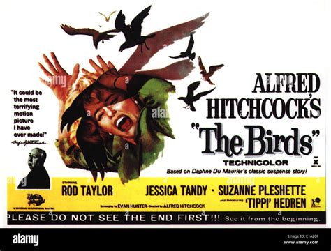 The Birds Movie Poster