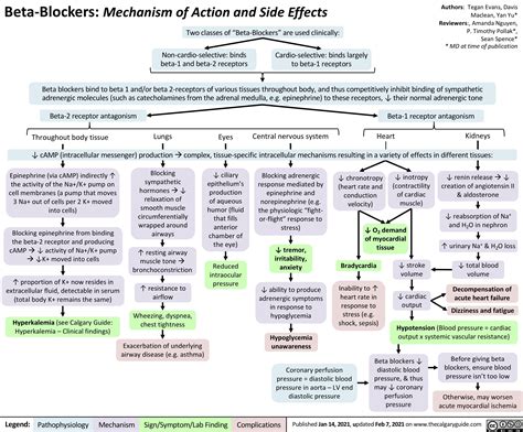 Beta-Blockers: Mechanism of Action and Side Effects Two classes of ...