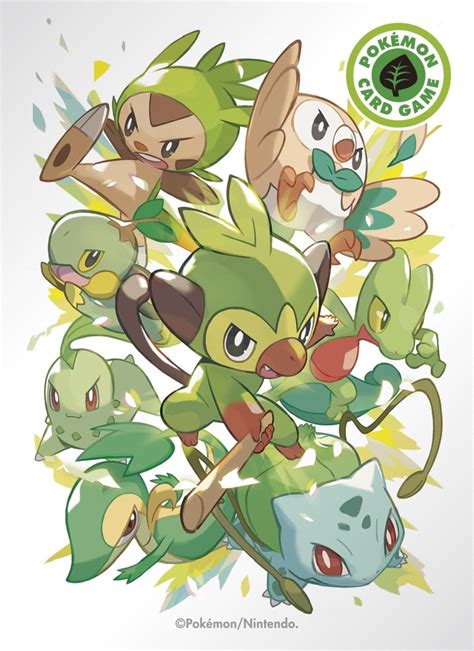 Pin de Poke’nerd56 em Pokémon | Arte pokemon, Pokemon iniciais ...