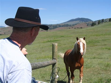 Beautiful photos of Montana Horses ranches | BOOMSbeat