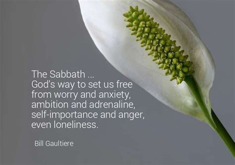 35 Rest Quotes for Sabbath Day Meditation - LetterPile