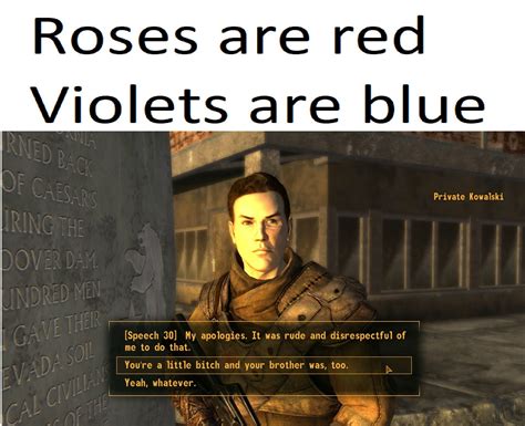 A Fallout New Vegas Poem : r/memes