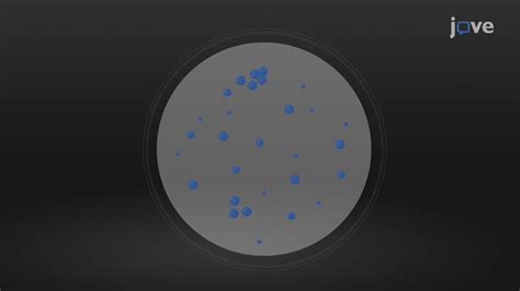 Methylene Blue Staining to Assess Metastatic Colony Formation In Vitro ...