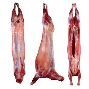 Mutton - Manufacturers, Suppliers & Exporters in India