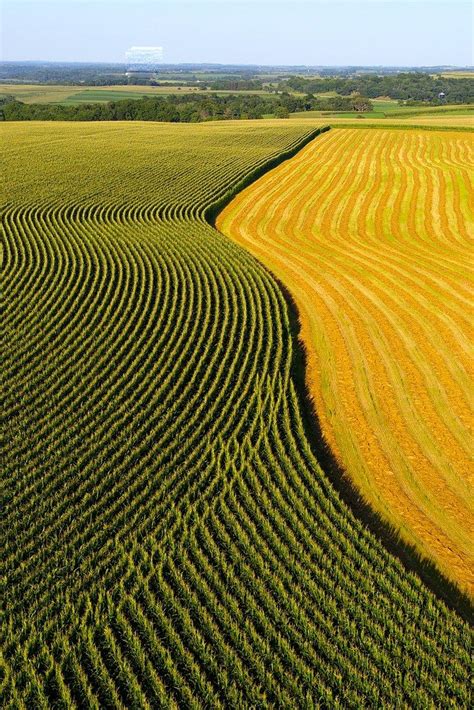 Waves of Corn | Crop field, Scenery, Aerial images