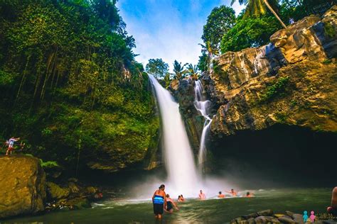 Bali Swing Combination With Tegenungan Waterfall & Luwak Coffee: Triphobo