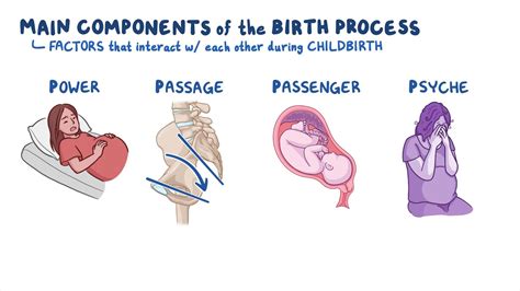 Components of the birth process: Nursing - Osmosis Video Library