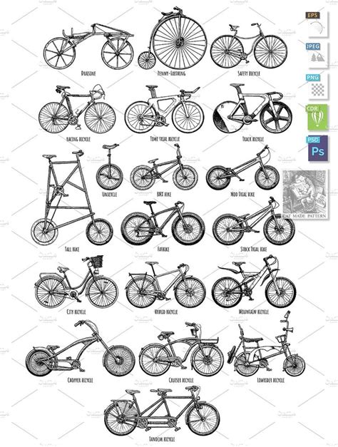 Types of bikes | Bicycle types, Lowrider bicycle, Bicycle design