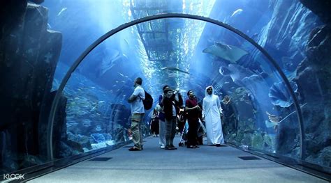 Billets combinés pour le sommet de Burj Khalifa + l'aquarium et le zoo ...