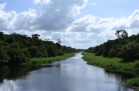 Baracara: A Haven of History and Culture - Guyana Chronicle