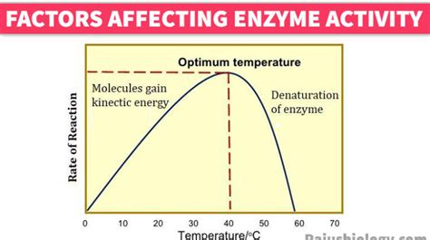 6 Factor Affecting Enzyme Activity Short Notes - Rajus Biology