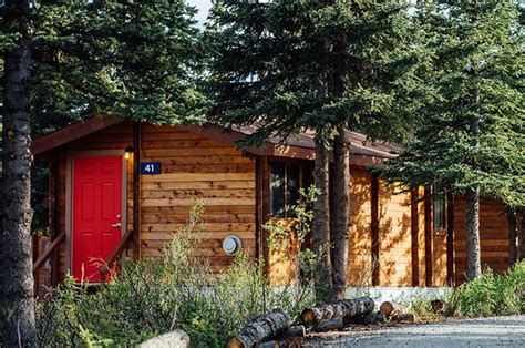 Denali Cabins: Base Camp to Adventure Near Denali National Park