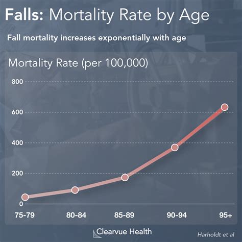 3 Charts: Fall Mortality Statistics for the Elderly | Visualized Science